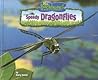 Speedy Dragonflies (No Backbone! The World of Invertebrates)