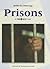 Prisons (Writing the Critical Essay: An Opposing Viewpoints Guide)