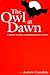 The Owl at Dawn: A Sequel to Hegel's Phenomenology of Spirit (Radical Social Polit Theory)