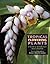 Tropical Flowering Plants: A Guide to Identification and Cultivation