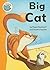 Big Cat