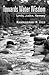 Towards Water Wisdom by Ramaswamy R. Iyer