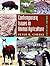 Contemporary Issues in Animal Agriculture by Peter R. Cheeke