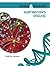 Huntington's Disease