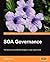 SOA Governance