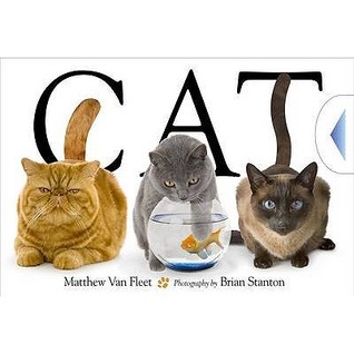 Cat (Hardcover)