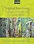 Tropical Rain Forest Ecology, Diversity, and Conservation