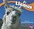 Llamas (Pebble Plus: South American Animals)