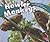 Howler Monkeys (Pebble Plus: North American Animals)