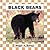 Black Bears