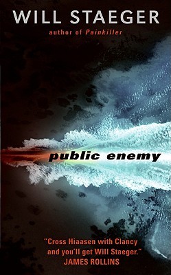 Public Enemy (Paperback)