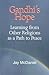 Gandhi's Hope by Jay B. McDaniel