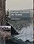 Flash Floods in Texas (Will and Pamela Nelson Harte Series on Water and the Environment, sponsored by The Meadows Center for Water and the Environment, Texas State University)