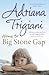 Home to Big Stone Gap by Adriana Trigiani