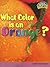 What Color Is an Orange?: Light and Color (Raintree Fusion: Physical Science)