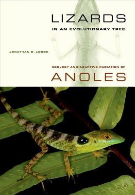 Lizards in an Evolutionary Tree: Ecology and Adaptive Radiation of Anoles (Volume 10) (Organisms and Environments)