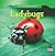 Incredible Ladybugs
