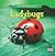 Incredible Ladybugs (The Incredible World of Insects)