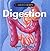 Digestive System (Kaleidoscope: Human Body)