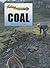 Coal (Fueling the Future)