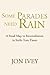 Some Parades Need Rain by Jon Ivey