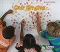 Our Brains