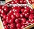 Cranberries (Welcome Books)