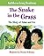 The Snake in the Grass: The Story of Adam and Eve