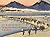 Hiroshige / Eisen: The Sixty-Nine Stations of the Kisokaido