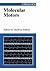 Molecular Motors