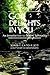 GOD DELIGHTS IN YOU: An Introduction to Gospel Spirituality