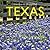 Texas (America the Beautiful)