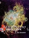 Magnificent Universe