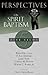 Perspectives on Spirit Baptism