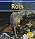 Rats (What's Awake?)