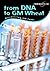 From DNA to GM Wheat: Discovering Genetically Modified Food : Discovering Genetically Modified Food (Chain Reactions): Discovering Genetically Modified Food (Chain Reactions)