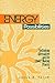 Energy Possibilities: Rethinking Alternatives and the Choice-Making Process (Science Tech Society (Dis))