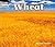 Wheat (Welcome Books)