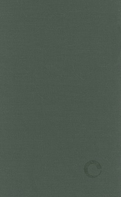 Privatizing China: Socialism from Afar (Hardcover)