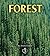 Forest (First Step Nonfiction: Habitats)