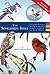 The Songbirds Bible by Noble S. Proctor
