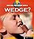A Wedge (How Can I Experiment With?)