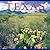 Texas (America)