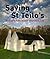 Saving St. Teilo's