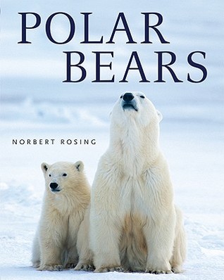 Polar Bears (Hardcover)