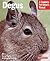 Degus by Sharon L. Vanderlip