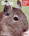 Degus: A Complete Pet Owner's Manual