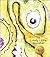 The Lonely Little Monster: ...