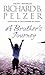 A Brother's Journey by Richard B. Pelzer