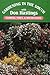 Gardening in the South: Flowers, Vines, & Houseplants (Gardening in the South with Don Hastings)